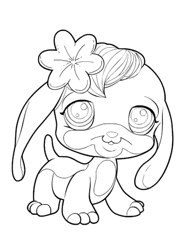 coloriage pet shop belle chienne
